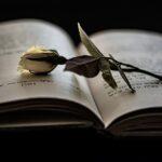 book, reading, rose-6668398.jpg