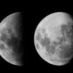 moon, phases of the moon, zodiac-5383710.jpg